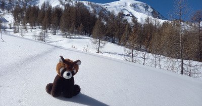 Bapt&ecirc;me de Doudouce &agrave; la t&ecirc;te de Pra Bertrand 