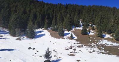 spring ! mais avec du monde