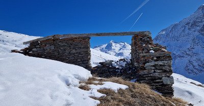 Le printemps avant l'hiver 