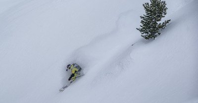 Un peu de poudreuse en attendant le Reset