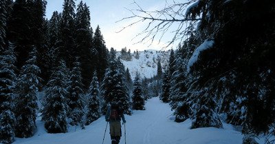 Pas si mal apr&egrave;s la temp&ecirc;te