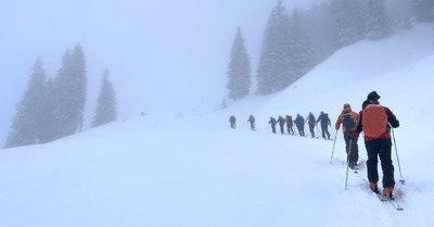 Rin&ccedil;age en Oberland