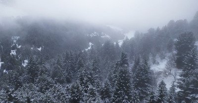 promesse d une belle journ&eacute;e, il s agit de ne pas mourir