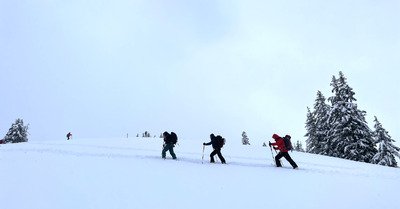 Quelques &eacute;claircies et un peu de bon ski 