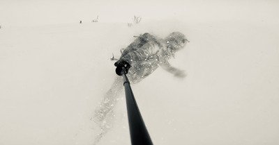 Waouh ! Ou le langage des Riderdendrons au Fornet