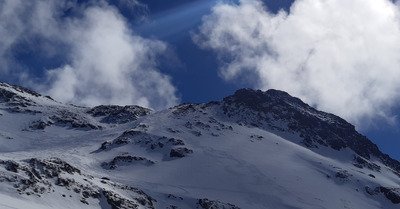 Gavage.... dans 5cm de poudre ! 