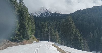 Hamst&eacute;risation nordique &agrave; Prapoutel-Beldina