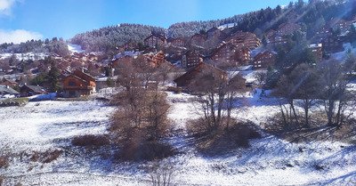 de la powpow sur les sapins!