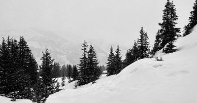 Braver les &eacute;l&eacute;ments&nbsp;?