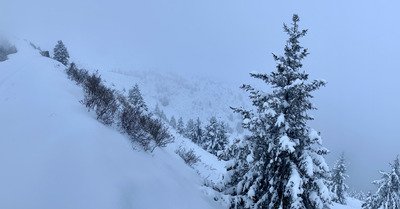 De la neige fra&icirc;che mais un brouillard &agrave; couper au couteau...