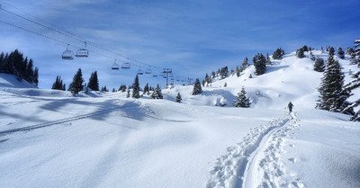 Un Grand Mont de folie&nbsp;?