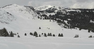 Nuances de gris pour la der...