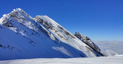 &Ccedil;a ne gagne pas &agrave; tous les coups