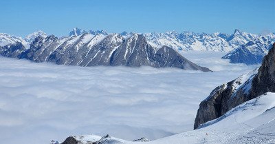 La t&ecirc;te (tout juste) hors de l'eau 