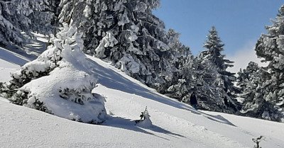 Chamrousse : G&eacute;ant'ti'cime ?  !
