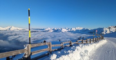 Jusqu'au bout des cuisses