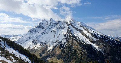 Une Aiguille pour la forme