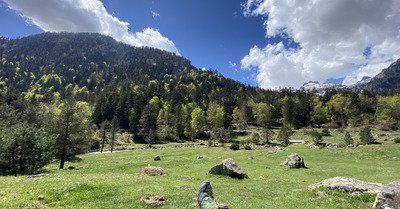 Mode printemps/&eacute;t&eacute; activ&eacute;&hellip;