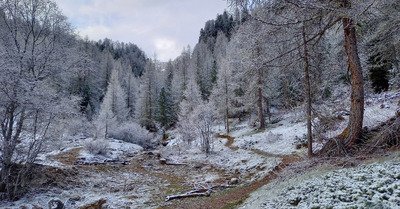 Bon skiski dans la snosnow pour les Doudoux 