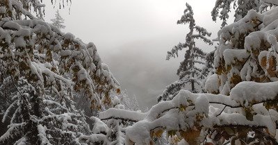 Gambader dans la neige