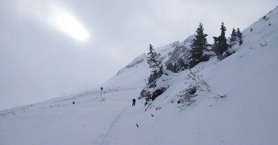 premiere sortie dans les sapins