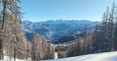 🥁🥁🥁 tadaaaa!