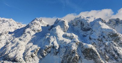La transhumance &agrave; Chamrousse 