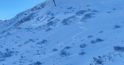 Belle poudre &agrave; Samo&euml;ns 
