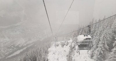 Chamonix-Val Tho, le p&eacute;riple des lapins
