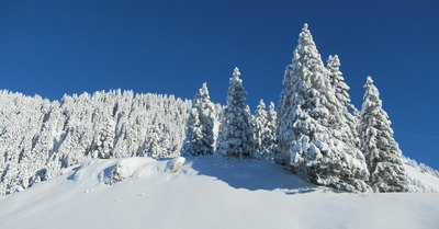 Grosse poudre, soleil et bonne caillante aux Carroz ce matin