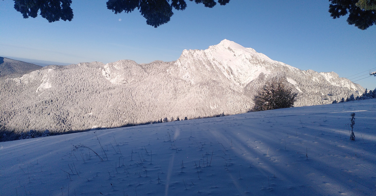 Saint Pierre de Chartreuse Rando du 29/11/2023