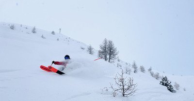 1&egrave;res traces : de la poudre au menu 