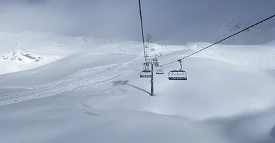 Gavage c&ocirc;t&eacute; Orelle en cours ❄️