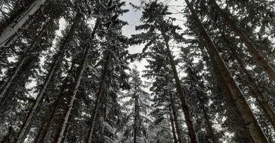 Quand &ccedil;a passe par l&agrave;...