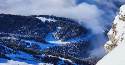 Balade entre les arbres 