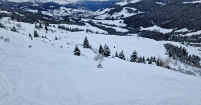 Profitons de chaques instants ! 