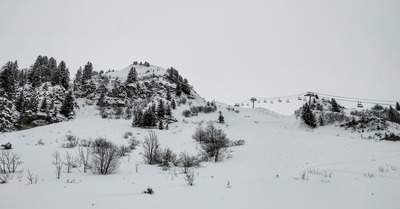 Pré-ouverture au grand'bo 