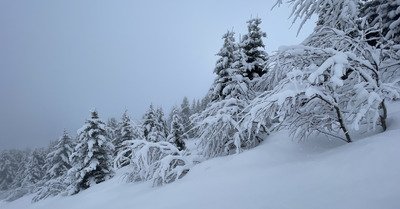 Injection du manteau=>Ok