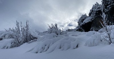 L&rsquo;hiver se repointe 