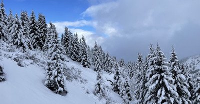 Et quelques cm de neige l&eacute;g&egrave;re en plus 