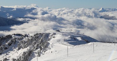Chamrousse : neige fra&icirc;che, ciel bleu et sapins blancs