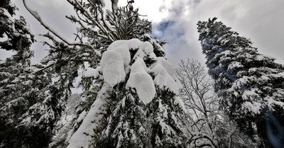 Les affaires reprennent !