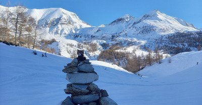 Piolit, tout blanc, tout doux... tel un Doudou 🥰