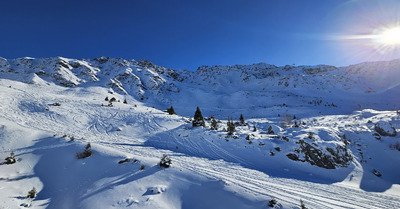 Fourbes avec le Gypa&egrave;te 