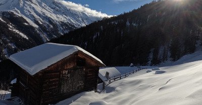 Courses de No&euml;l ou peuf....j'ai choisi 
