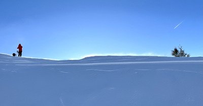 Foule, soleil et quelques poches de poudre