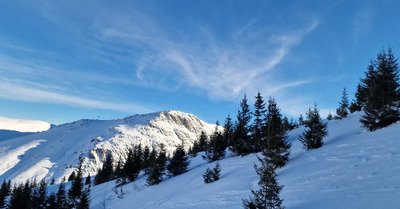 R&eacute;veill&eacute; par le jeune