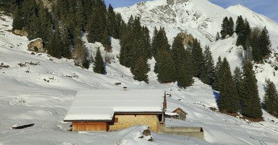 Tout droit vers le r&eacute;veillon, bon ski 