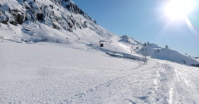 Un plan pas si terrible 