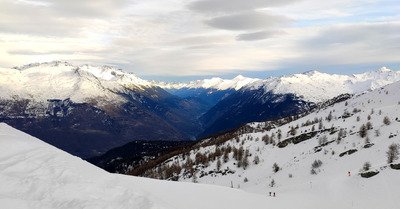 Pluie... de m&eacute;dailles 